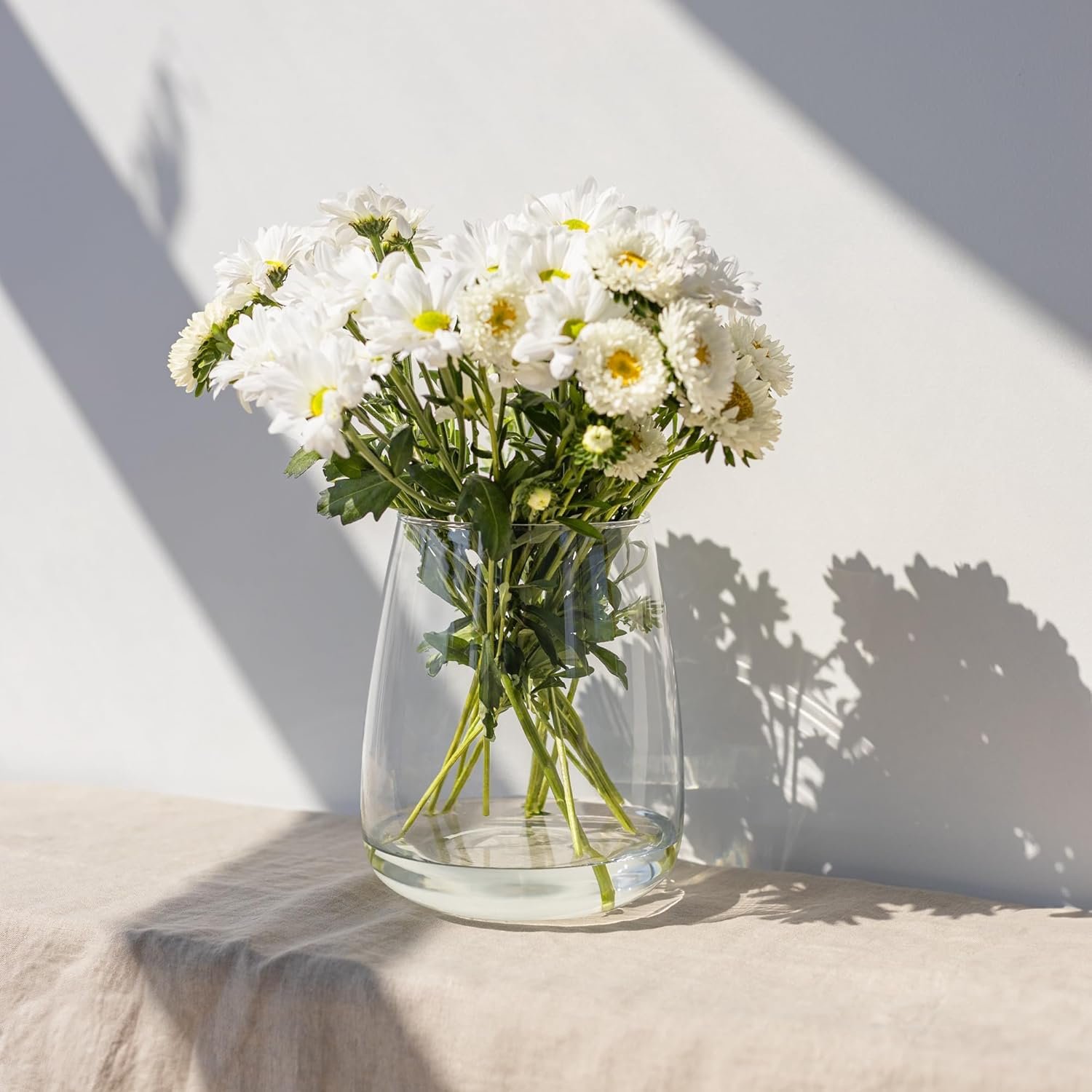 TREND FOR HOME Glasvase groß H: 22,7 cm Vase für Pampasgras Glas, Blumenvase für Pampasgras, Vasen Glas für Hochzeitstulpen Weite Öffnung, Ø 19 cm, Zinnia