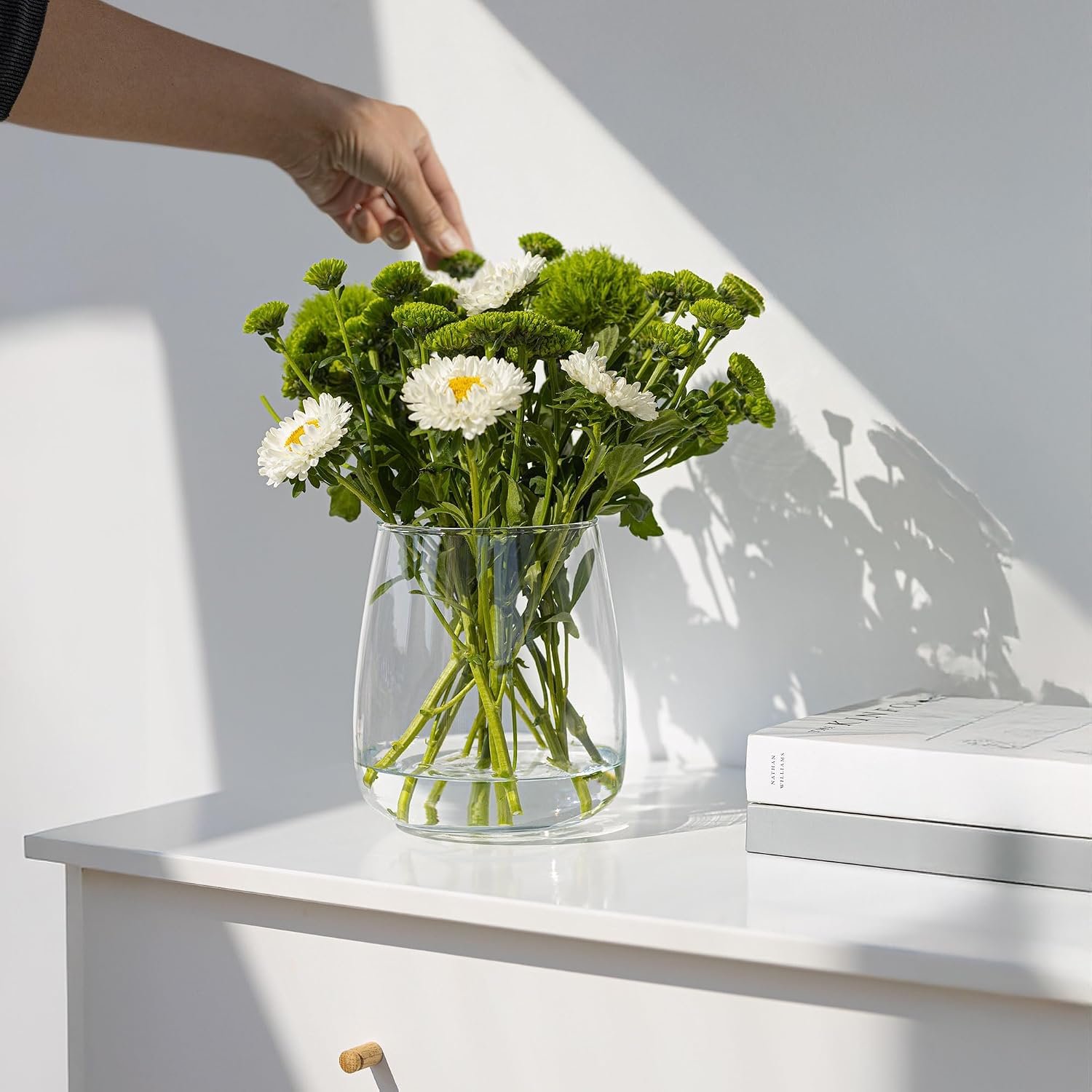 TREND FOR HOME Glasvase groß H: 22,7 cm Vase für Pampasgras Glas, Blumenvase für Pampasgras, Vasen Glas für Hochzeitstulpen Weite Öffnung, Ø 19 cm, Zinnia